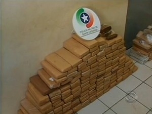173 kg de maconha foram apreendidos em agosto