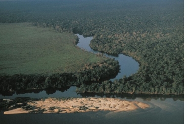 Amaznia Legal: o desmatamento continua a ocorrer na floresta