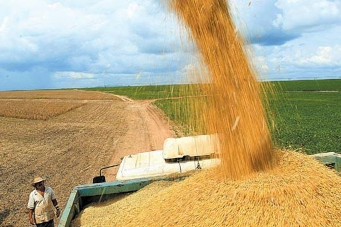 Estimativa  de que safra de gros continue sendo recorde este ano