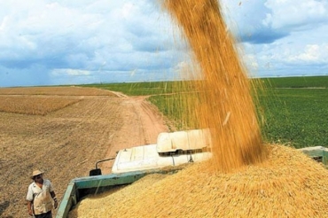 Estimativa � de que safra de gr�os continue sendo recorde este ano
