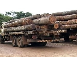 Prejuzo causados pelo danos ambientais  estimado em R$ 900 milhes