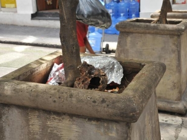 Crnio foi encontrado nesta quarta-feira em um vaso no centro de So Paulo