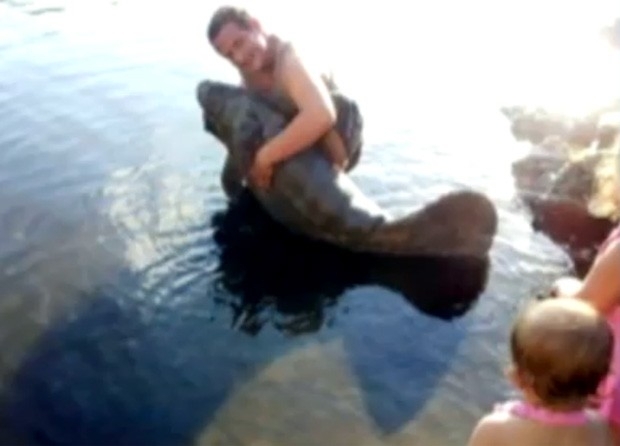Ryan William Waterman postou fotos segurando filhote de peixe-boi fora d