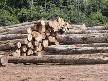 Mato Grosso  o estado que mais desmatou entre janeiro a outubro de 2012.