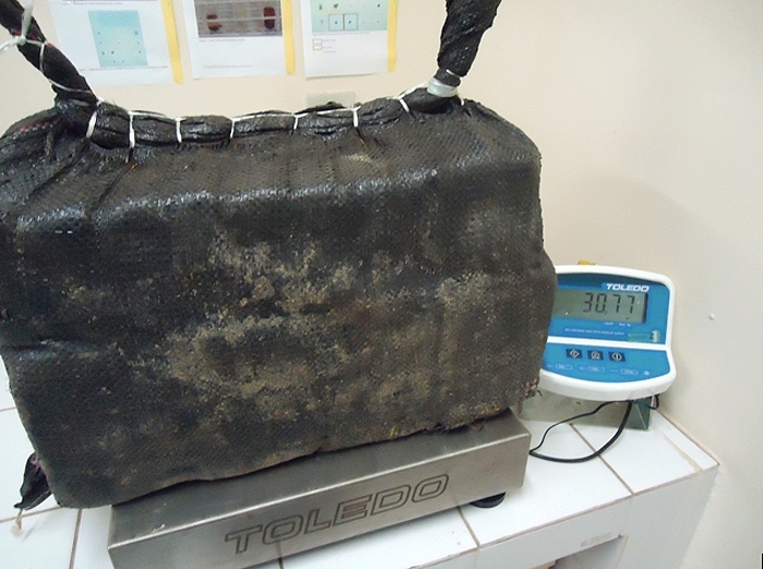 Parte da droga apreendida