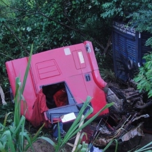 Caminho tomba em ribanceira em Gois