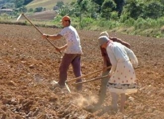 Fazendeira que mantinha empregados sob condies anlogas a de escravo no consegue tirar nome de lista suja