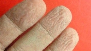 Dedos enrugados poderiam ter facilitado manuseio de alimentos dentro e  beira de rios