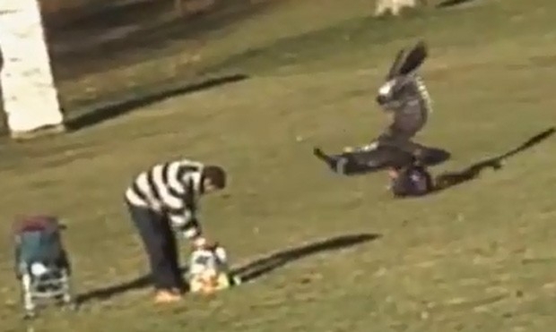 Vdeo falso de guia capturando beb atingiu mais de 30 milhes de visualizaes (