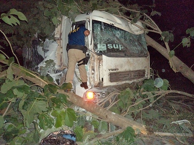 Condutor pulou de veculo para se salvar durante acidente na Serra de So Vicente.