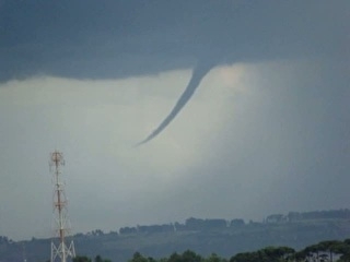 rvore caiu no Cemtrio So Joo Batista, em Foz do Iguau