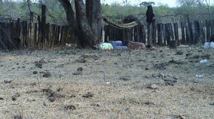 Os corpos dos trabalhadores assassinados foram encontrados espalhados em fazenda