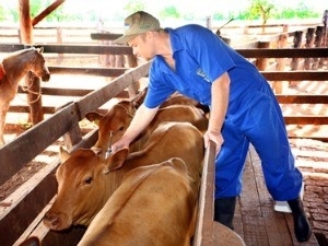 Vacinao continua na regio do Pantal de Mato Grosso