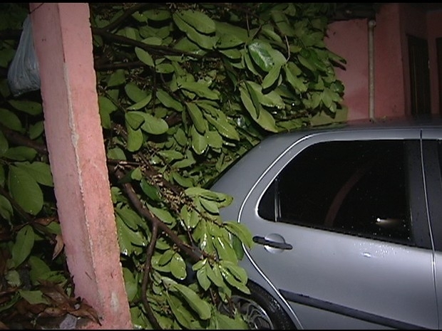 Os galhos atingiram um veculo que estava na garagem.