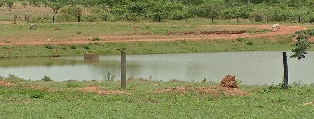 Homem teria ido at a lagoa para pescar na noite de quarta-feira