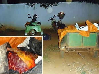 Suspeitos de praticarem caa predatria so presos