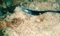 Cliente teria encontrado um fio dental dentro de um prato no restaurante Morro dos Ventos