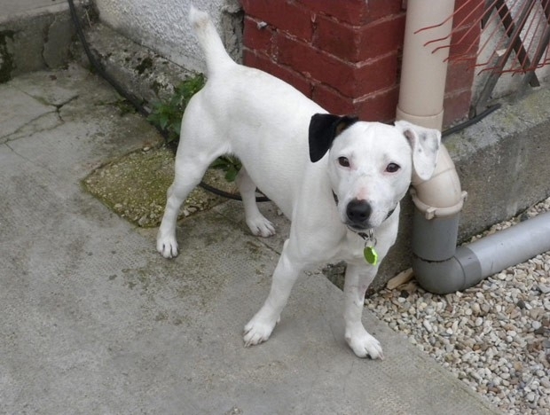 O co Ethan nesta sexta-feira (19) em sua nova casa, em Charleville-Mzires, Frana