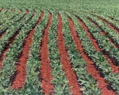 Alta foi puxada no perodo de outubro de 2011 a setembro de 2012, pelo