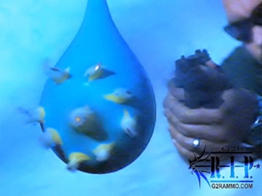 Projtil foi apelidado de a ltima coisa que voc vai precisar na vida