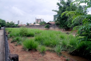 Zoolgico da UFMT: mato alto e falta de recurso para investimento