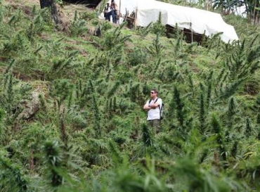 'Rei da machonha' em viagem de prospeco na Colmbia