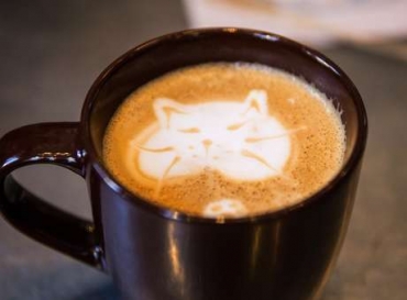 Caf� pode prevenir degenera��o da retina, diz pesquisa