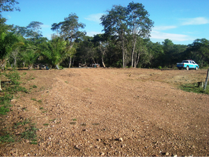 Produtor rural  multado em R$ 20 mil por degradao de APP em MS