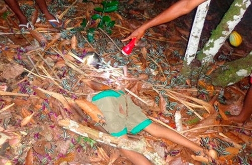 Acusado convidou a criana para ir at a roa pegar um burro