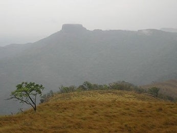 Incndio atingiu parte do Morro de So Jernimo