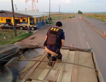 Carga foi apreendida pela PRF na regi�o Norte de Mato Grosso por irregularidade na Guia Florestal