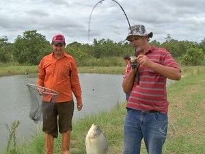 Piscicultores de comunidade rural de Cuiab  enfrentam altos custos para se manterem  na atividade