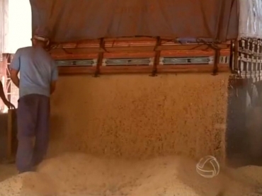 Na expectativa por aumento da demanda pela soja norte-americana, preo do oleaginosa subiu em Chicago