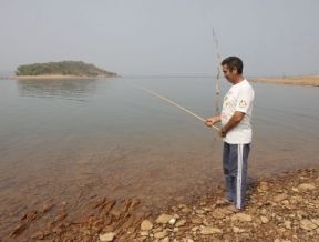 Com elevadas concentraes de mercrio, algumas espcies encontradas no Lago do Manso no so recomendadas para o consum