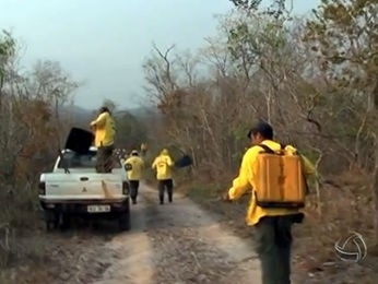 Brigadistas tentam combater focos prximo ao paque de Chapada 