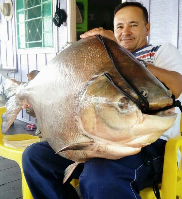 O morador de Alta Floresta costuma pescar todos os finais de semana com a famlia e amigos
