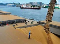 Gros seguem sustentando a excelente performance da pauta estadual por mais um ms. Soja e milho se destacam