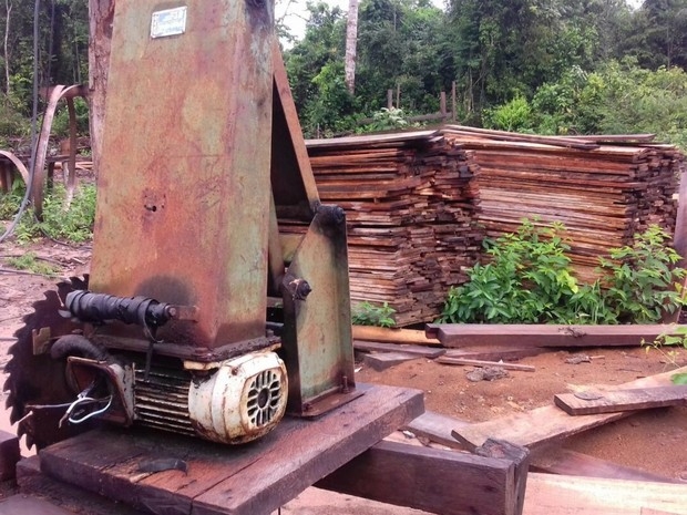 Mata nativa estava sendo devastada no municpio de Confresa