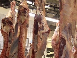 Abatestiveram bons resultados em julho aponta Imea