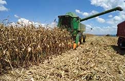 Importantes reas produtoras de Sorriso, Sinop, Campo Novo do Parecis, Primavera do Leste e Querncia foram visitas por tcnicos da CNA