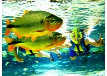 Belezas encantam turistas