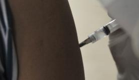 Testes da terceira e ltima etapa da vacina contra a dengue feitos pelo Instituto Butant vo comprovar a eficcia do produto