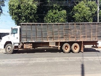 Dois so presos dirigindo caminho com 20 novilhas furtadas