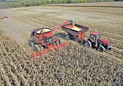 Quanto mais se colhe no Estado, mais se contabilizam os estragos causados pelo clima adverso da safra que derrubou todas as projees