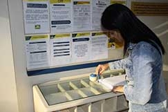 Correios: car�ncia � de pelo menos 400 carteiros, 200 atendentes e 100 operadores de triagem