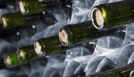 Queda na produo se deve a condies climticas e doenas das plantas de uva 