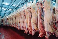 Efeito EUA sobre a abertura de novos mercados consumidores � carne bovina � aguardado pelo setor