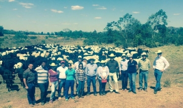 Expedio durou quatro dias e identificou atividades que se alinham aos eixos da estratgia de desenvolvimento sustentvel de MT