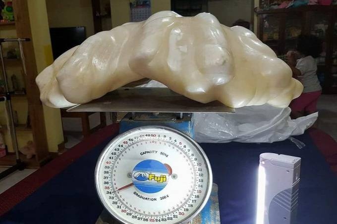 A prola encontrada nas Filipinas pesa 34 quilos e pode ser a maior do mundo
