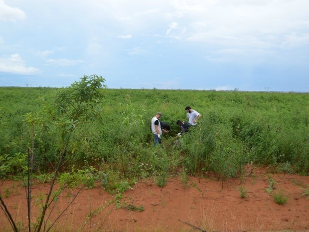 Corpo apresentava diversas perfuraes de faca, diz percia (Foto: Eliete Marques/ G1)